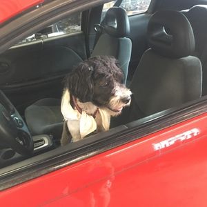 Meet your Posher, Cindy